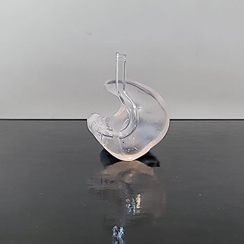 รูปพิมพ์หูแบบเต็มหู