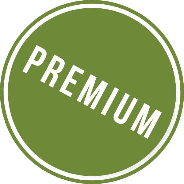 เครื่องช่วยฟังคุณภาพสูง